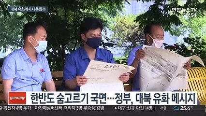 평양에 유화 메시지 띄우기…대화재개 동력 될까