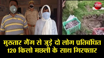 मुख्तार गैंग से जुड़े दो लोग प्रतिबंधित 120 किलो मछली के साथ गिरफ्तार
