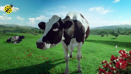 Funny Cow Dance 4 │ Nursery Rhymes   Kids Songs 웃긴 암소 춤 搞笑牛舞 मजेदार गाय नृत्य رقص بقرة مضحك