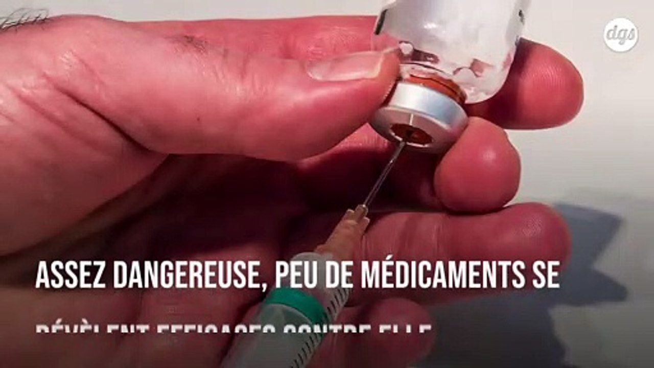 Ce traitement prometteur du staphylocoque doré cible les toxines plutôt que les bactéries