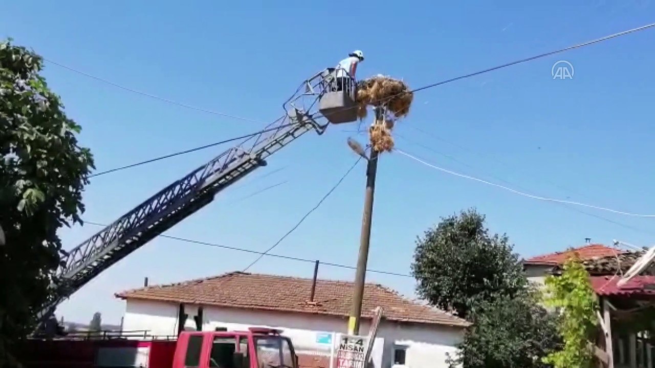 Ayaklarına ip dolanan yavru leylekleri, itfaiye ve Tredaş ekipleri kurtardı - TEKİRDAĞ