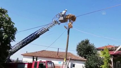 Ayaklarına ip dolanan yavru leylekleri, itfaiye ve Tredaş ekipleri kurtardı - TEKİRDAĞ