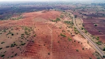 पुलिस शाजापुर को करेगी हरा भरा