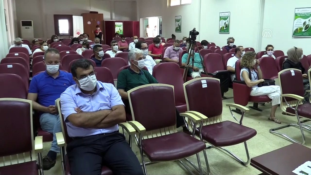 Verimi yüksek muz çeşidi "Alata Azmanı" tanıtıldı - MERSİN