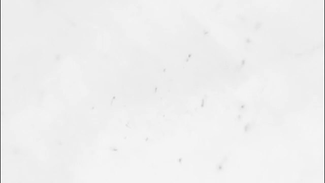 #inspirationalmusic #beelive2020 Sleep||Wallace D. Wattles||the science of being well