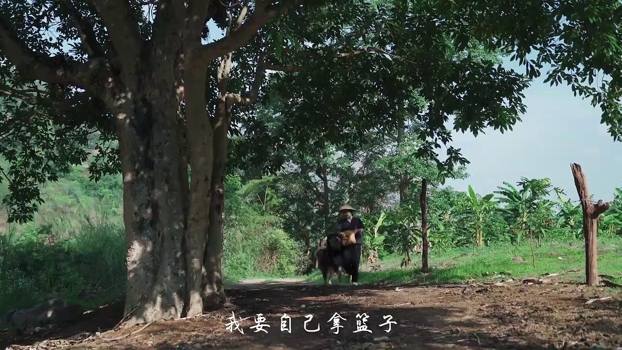 Picked up 25 pounds of stone, made a big table "stone feast", and also made two small hand-painted paintings