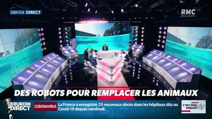 La chronique d'Anthony Morel : Des robots pour remplacer les animaux - 30/06