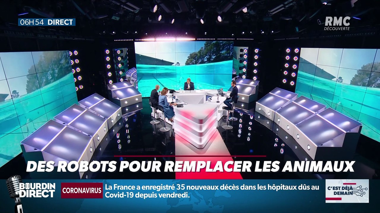 La chronique d'Anthony Morel : Des robots pour remplacer les animaux - 30/06