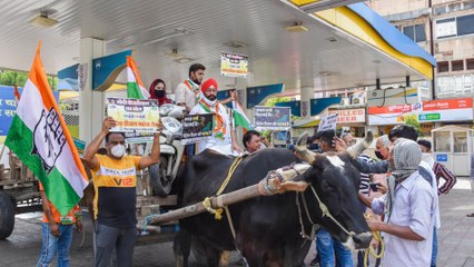 Download Video: Petrol-Diesel prices hiked up, Congress stages protest