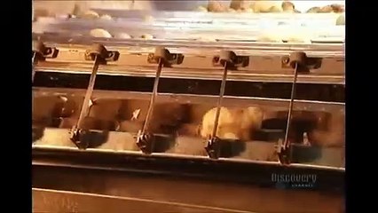 How Its Made - 055 Potato Chips