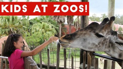 Funniest Kids at the Zoo Reactions Compilation October 2016 _ Funny Pet Videos