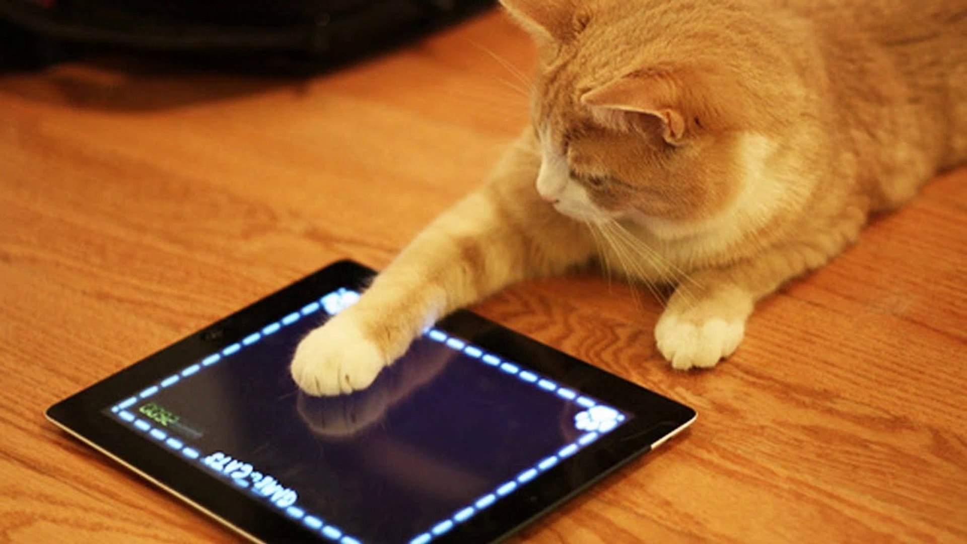 10 Strangest Apps