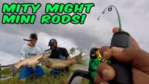 BIG FISH Double Ups!!! Mini Rods!