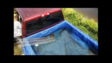 DIY TRUCK Homemade FISH POND!!!