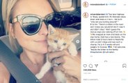 Pussy rescue: Miranda Lambert adopts abandoned kitten