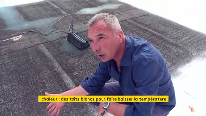Les toits blancs, une alternative lumineuse pour diminuer la chaleur naturellement