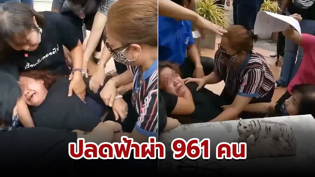 นาทีลูกจ้าง สกสค. ล้มทั้งยืน ถูกปลดฟ้าผ่า เลิกจ้าง 961 ราย