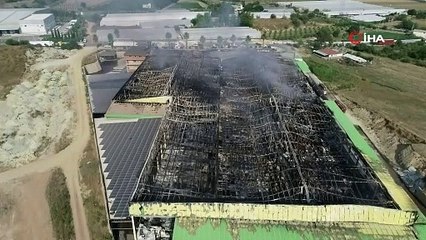 Antalya'daki yangında zarar 80 milyon lira