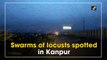 Swarms of locusts spotted in Kanpur