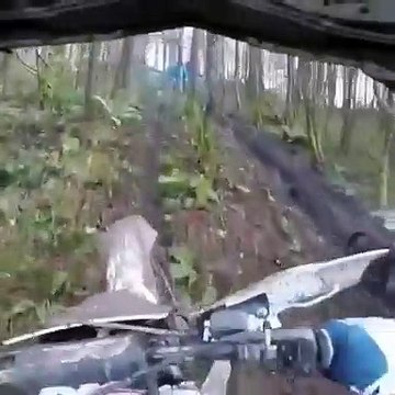 Rien n'arrête ce motard dans sa course