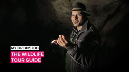 My Dream Job: This guide found freedom in the forests of Transylvania