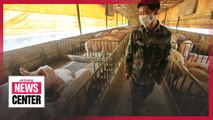 New swine flu with pandemic potential identified in China