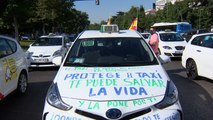 Una 'marea' de taxistas inunda el Paseo del Prado