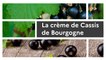 Un produit, un territoire : Tout sur la crème de Cassis de Bourgogne