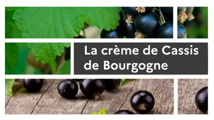 Un produit, un territoire : Tout sur la crème de Cassis de Bourgogne