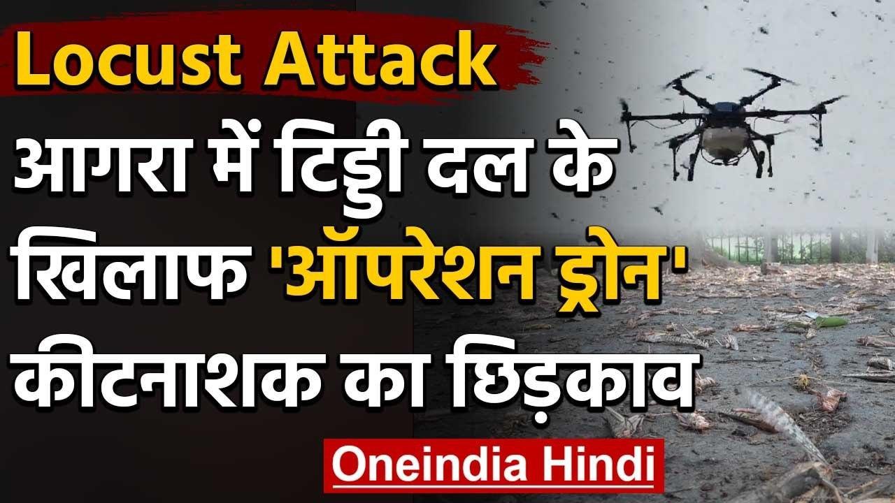 Locust Attack: Agra में टिड्डि दल मार गिराने के लिए ड्रोन से किया कीटनाशक छिड़काव | वनइंडिया हिंदी