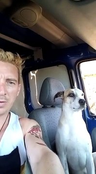 Journée Mondiale contre les abandons d'animaux 3ème Partie