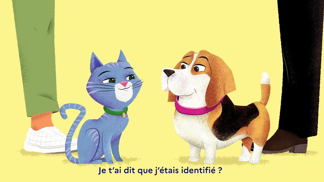 Bénéfice de l'identification en cas de perte et de vol