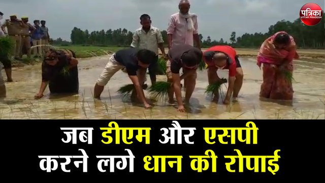 जब डीएम और एसपी करने लगे धान की रोपाई