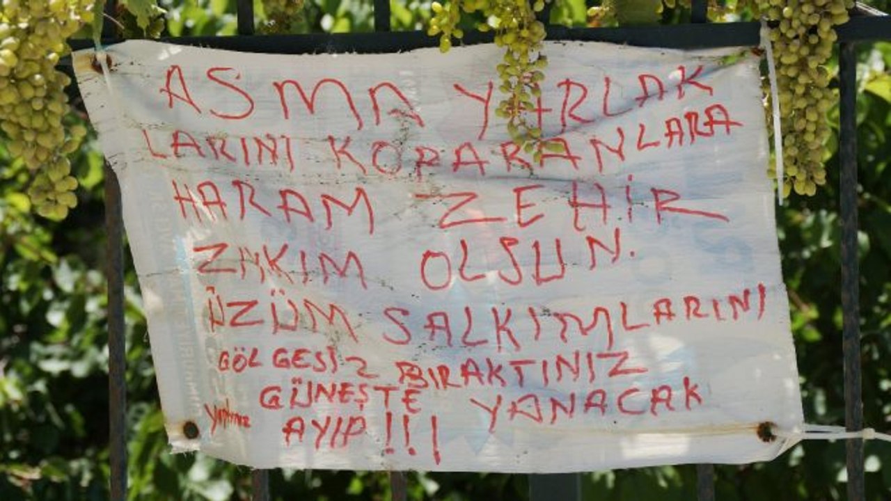 Asma yaprağını koparan komşuları için yaprak bedduası