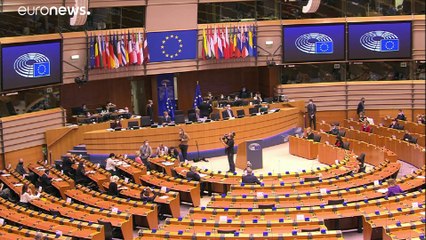 Взаимные иски евродепутата и полиции Брюсселя по поводу расизма
