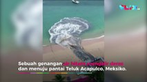 Limbah Hitam Pantai Acapulco Meksiko