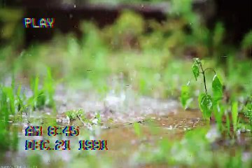 MVGEN: Johannes : Trust YOu