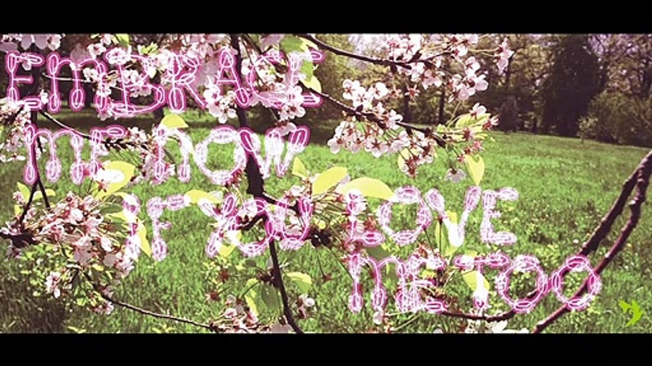 Now is forever | GREEN, electro life | Max Léonidas (Diaporama)