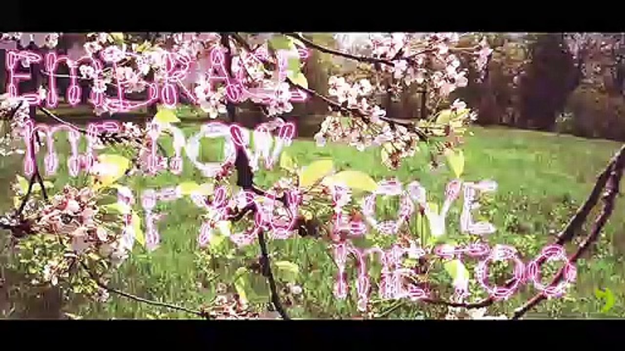 Hapiness | GREEN, electro life | Max Léonidas (Diaporama)