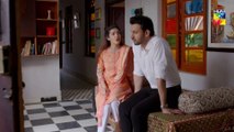 Wafa Kar Chalay Episode 110 HUM TV Drama 30 June 2020