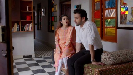 Wafa Kar Chalay Episode 110 HUM TV Drama 30 June 2020