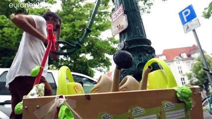 Dürre bedroht Bäume: Berliner an die Gießkannen!