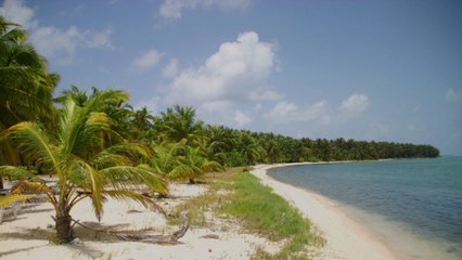 Belize Reopening to Tourists on August 15 — What to Know