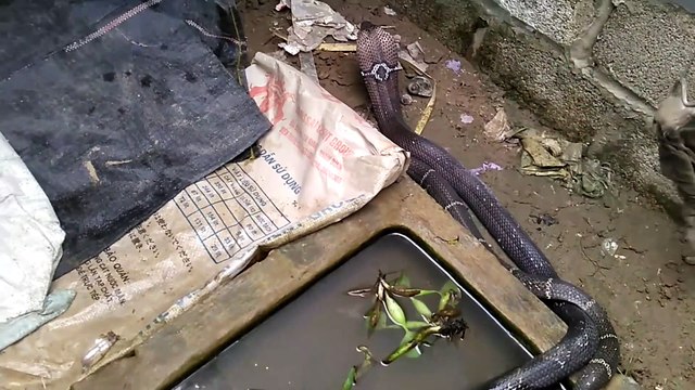 Il soulève ces cartons, regardez ce qui se cache dessous