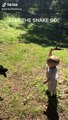 Un enfant attrape un serpent à la main et le jette à son chien... Va chercher
