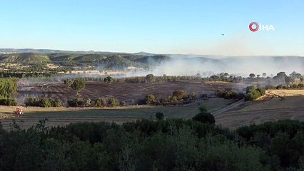 Uşak'ta bir yangın daha! 40 dönüm ekili alan yandı
