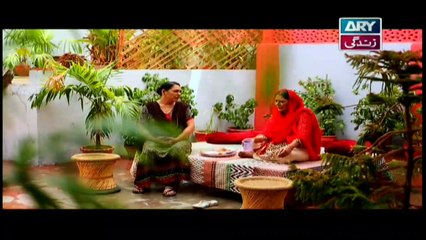 Bubbly Kya Chahti Hai Episode 19 & 20 - ARY Zindagi Drama