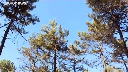 با بالگرد اطفا حریق روی سر خبرنگار تلویزیون ترکیه آب ریختند