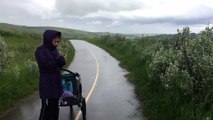 Prairies Rain