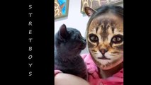Funny Dogs _ Cats Scared Of Cat Mask Filter - Dog _ Cat Reaction To Mask Filter _ CuteVN Animals